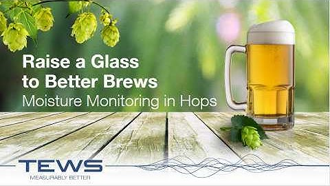 Precision in Hops - Moisture & Density Measurements | TEWS