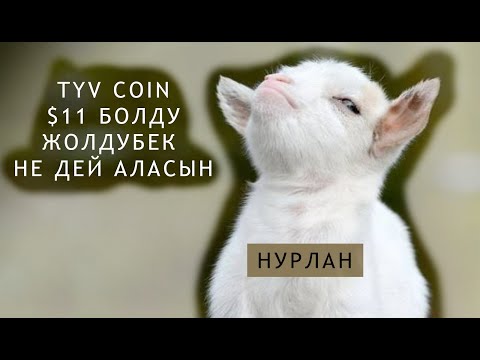 Video: ATVнин баасын кантип тапсам болот?