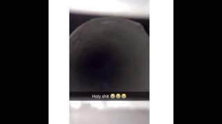 Future Sensational Bird Jumpscare