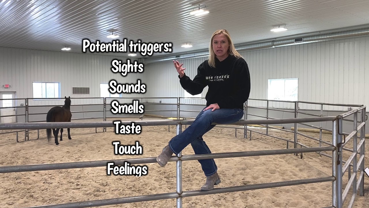 PTSD & Emotional/Situational Triggers - YouTube