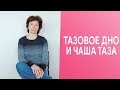 Тазовое дно и чаша таза