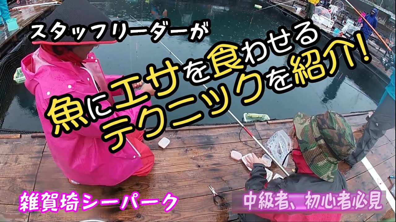 釣堀紀州 平日の少人数貸し切りにいってみた Youtube 釣堀紀州 平日の少人数貸し切りにいってみた Youtube