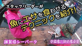 魚に餌を食わせるテクニック紹介(雑賀埼シーパーク)