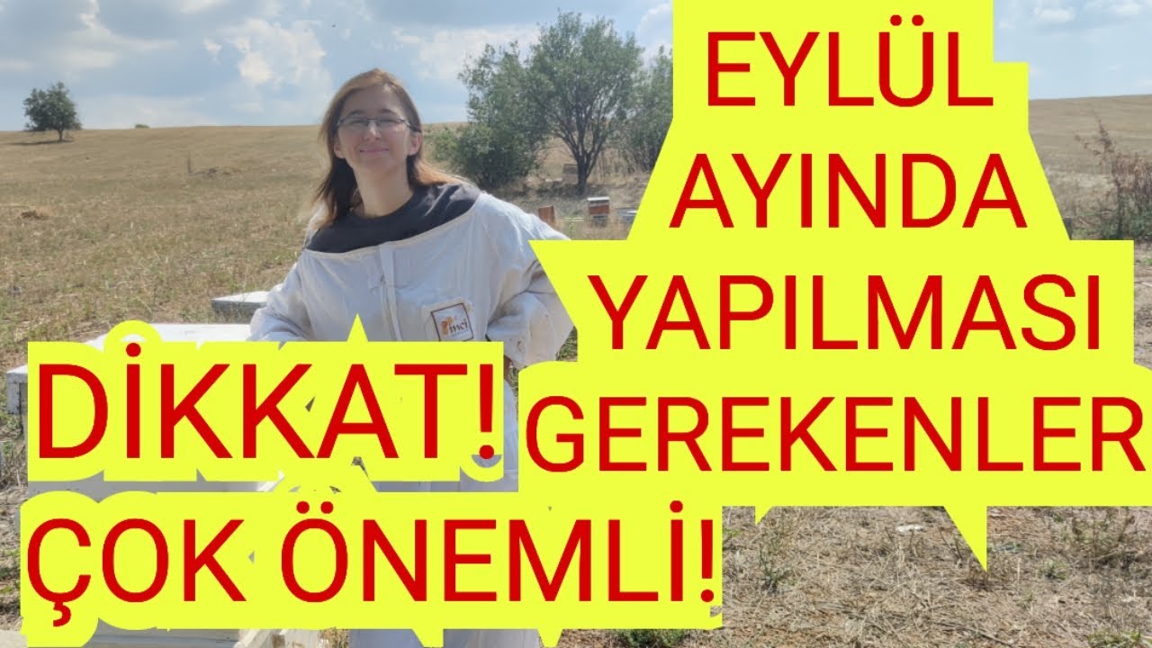 EYLÜL AYI ARI BAKIMI/ÖNEMLİ BİLGİLER/MUTLAKA İZLEYİN#arı#bee#arıcılık#yalvaç#beekeeping