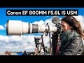 12.000€ Objektiv | Canon EF 800mm F/5.6L IS USM | Wildlife, Sport und Reportagen