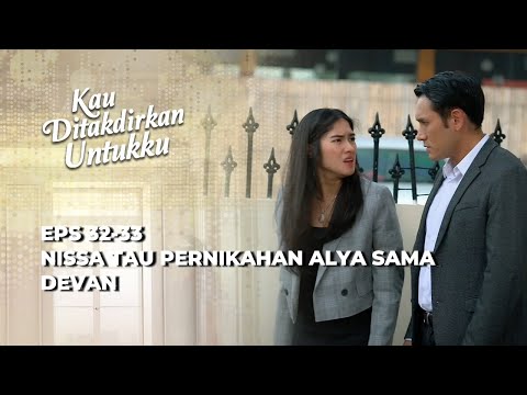 Turli olchamdagi mushuklarning fotosuratlari