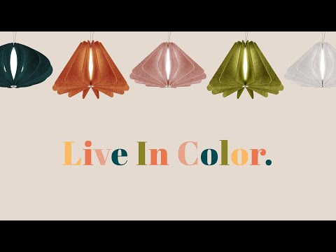 OCL Architectural Lighting - Live In Color Acoustic - video from OCL Architectural Lighting