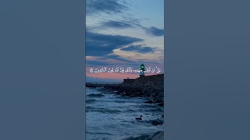 استمع لتلاوة عطرة من سورة آل عمران