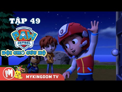 ĐỘI CHÓ CỨU HỘ PAW PATROL MINI | Tập 49 | Phim hoạt hình