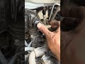 Intake Sensor Fitting In Manifold #intake #sensor #maniflod #fitting #automechanic