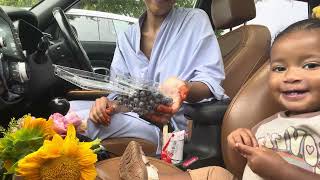 Eating Blueberries in Storq