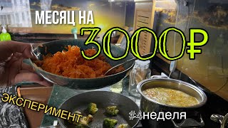 МЕСЯЦ НА 3000₽: 4 НЕДЕЛЯ☘️