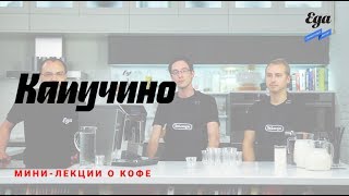 Капучино. Лекция о кофе Капучино. Лекция о кофе