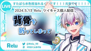 【すたぽら切り抜き】公式配信より詳しく！交通事故の全貌【Relu】【文字起こし】