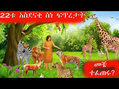 ቪዲዮ: ለምን nh4 አዎንታዊ ነው?