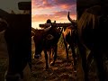 “Ancient African Farming Life | Traditional Agriculture with Cows & Culture”