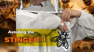 What's Better For a  New Beekeeper...Full Suit Or A Jacket?