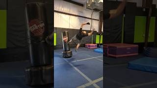 Punching bag Flip