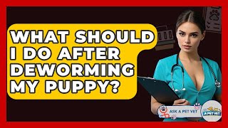 What Should I Do After Deworming My Puppy? - Ask A Pet Vet