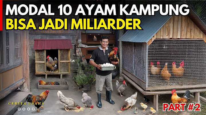 MODAL 10 AYAM KAMPUNG BISA JADI MILIARDER DI KAMPUNG SENDIRI | CERITA USAHA