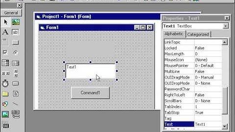 Text box vs Label on vb6- vb6 tutorial 10