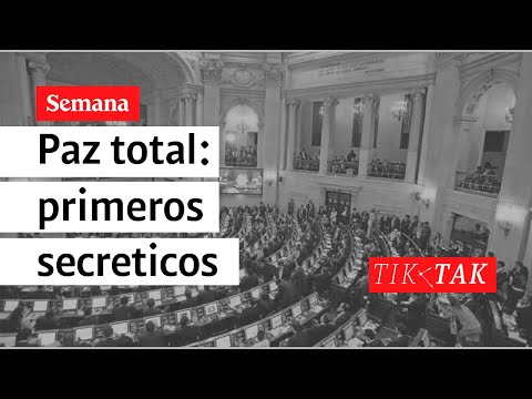 Primeros secreticos del proyecto de paz total del gobierno Petro | TIK TAK