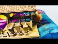 Bird Training:smart lovebird parrot l smart little cute parrot #training#smartparrot#cute 