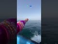صيف و البحر 5 جويلية 2025 صيف و البحر 5 جويلية 2025