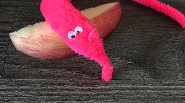 PSY 311-001 Classical Conditioning And Taste Aversion