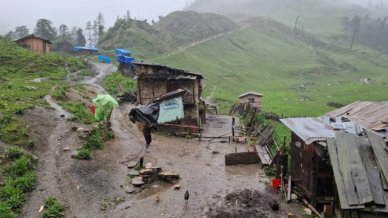 Life in a Nepali Mountain Village During Monsoon | Simple Living & Organic Cooking | Gorey Nepal🇳🇵 |