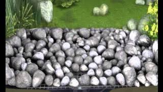 trio and Quintet.wmv