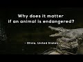 Why does it matter if an animal is endangered?