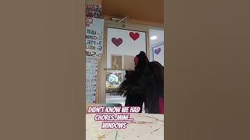 window cleaning for a program before leaving to go work #hustle hus