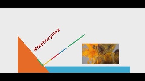 Introduction to linguistics - Morphosyntax