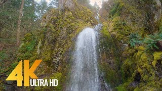 4K Beautiful Waterfalls of Oregon in Wintertime - Breathtaking Nature Scenery & Waterfall Sounds