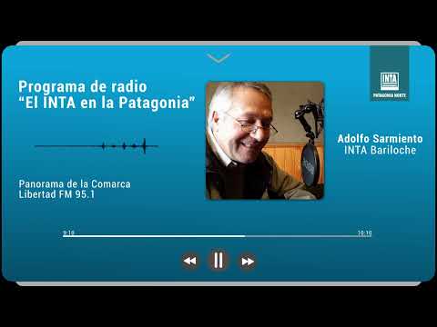 Programa de radio 