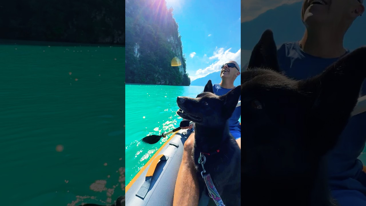 STUNNING GIESSBACH WATERFALL & LAKE BRIENZ VIEW| SWITZERLAND NATURE ESCAPE