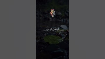 سورة النساء 💙#حالات_واتساب #قرآن #حالات #حالات_دينية #حالات_واتس