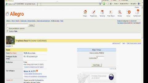 Internet Explorer 8, Web Slice
