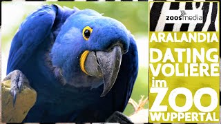 Wuppertal Zoo: ARALANDIA open for visitors | zoos.media