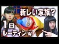 新しい家族？1日ルーティンwハグミンちゃんご紹介【のえのん番組】