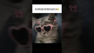 Bot in Chess♟️💀 || #viral #shorts #bot #edit #chess