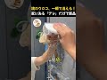 鏡のウロコ、まだ洗剤で頑張ってる? 家にある「意外なもの」で一瞬でピカピカにする魔法。