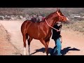 Carreras de Caballos en La Gavia