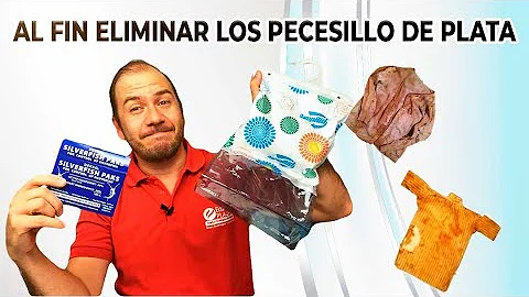 ¿Por qué siempre hay pececillos de plata en el baño?