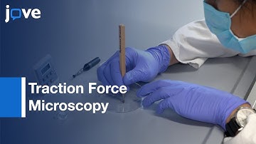 Control-Cell Adhesion Using Hydrogel Patterning Techniques: Applications l Protocol Preview