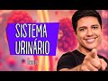 SISTEMA URINÁRIO OU EXCRETOR - ANATOMIA E FISIOLOGIA - Prof. Kennedy Ramos