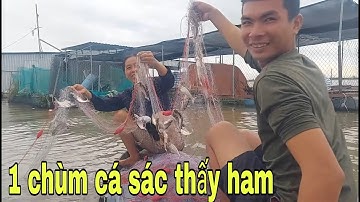 Khai Trương Tay Lưới Cá Sác Mới Sư Mẫu Và Em Sơn Gỡ Cá Mỗi Tay Luôn # SĂN BẮT ĐỒNG THÁP #