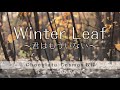 [ Chocolate Cosmos収録曲 ] 玉置浩二 Winter Leaf 〜君はもういない  TAMAKI KOJI