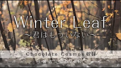 玉置浩二chocolate Cosmos Mp3 玉置浩二chocolate Cosmos Mp3
